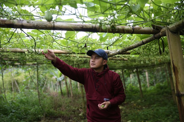 Kisah Sukses Petani Muda dari Jawa Barat